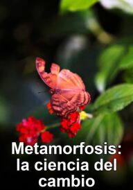 Перетворення: наука змін постер