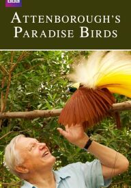 Райські птахи Аттенборо постер