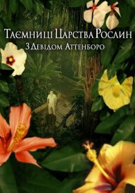 Таємниці царства рослин постер