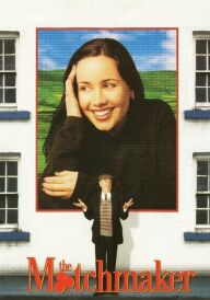 Звідник постер