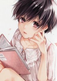 Диваки з маєтку Кавай постер