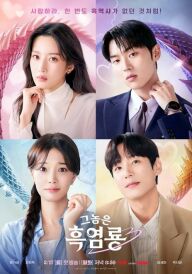 Дракон чорного полум'я постер