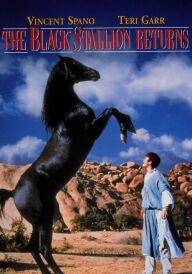 Повернення чорного скакуна постер