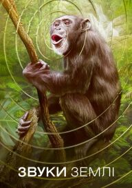 Звуки Землі постер