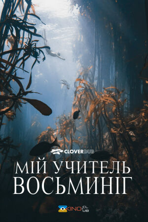 Мій учитель — восьминіг постер