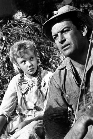 Полліанна постер