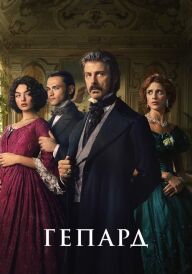 Гепард постер