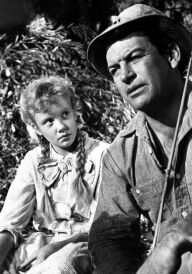 Полліанна постер