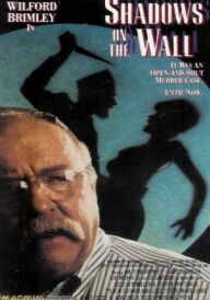 Тіні на стіні постер