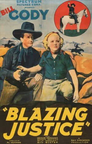 Палке правосуддя постер