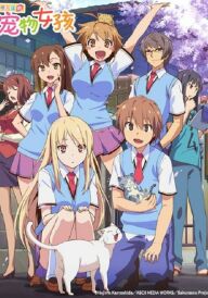 Кішечка із Сакурасо / Дівчатко-звірятко із Сакура-со постер