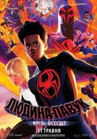 Людина-павук: Крізь Всесвіт постер