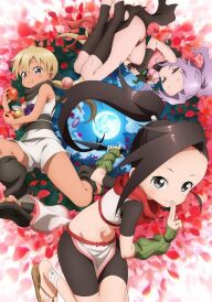 У серці куноічі Цубакі постер