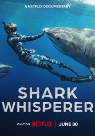 Заклиначка акул постер