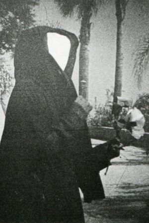 Полуденні мережі постер