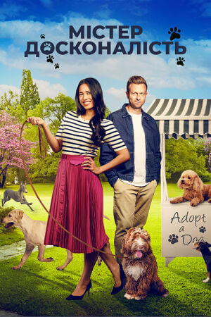 Позитивна досконалість / Містер Досконалість постер