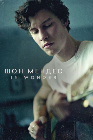 Шон Мендес: In Wonder постер
