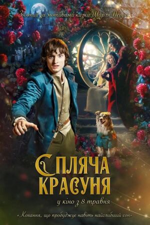 Спляча красуня постер