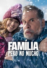 Майже родина постер