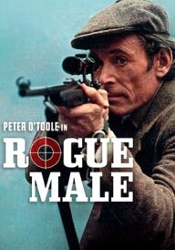 Самотній вовк постер