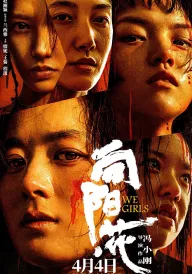 Ми, Дівчата постер