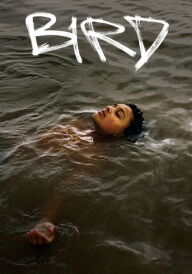 Птах постер