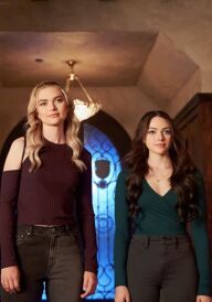 Спадок постер