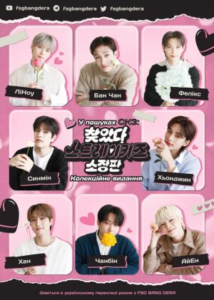 У пошуках СКЗ: Колекційне видання постер