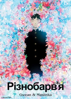 Різнобарв'я постер