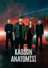 Анатомія хаосу постер
