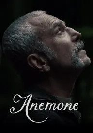 Анемона постер