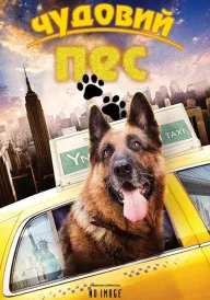 Крутий собака постер