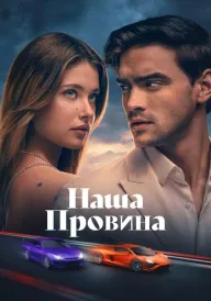 Наша провина постер