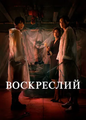 Воскреслий постер