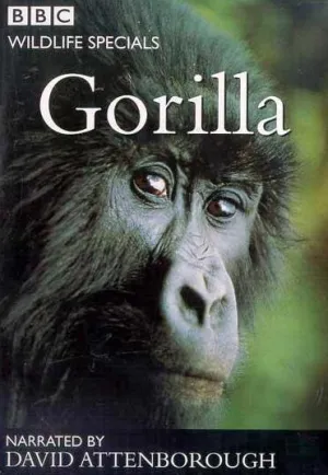 Горили постер