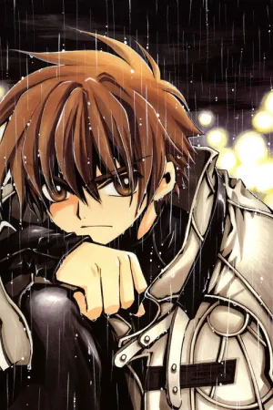 Хроніки Крил постер