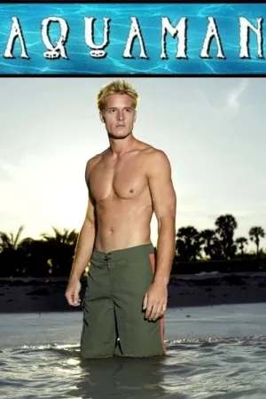 Нирець постер