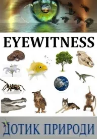 Дотик природи постер