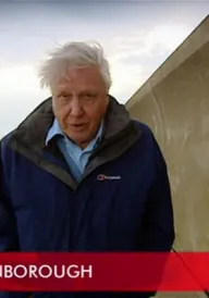 Ми можемо врятувати планету Земля? постер