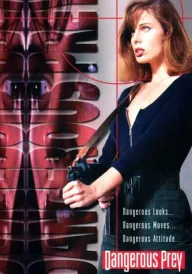 Небезпечна леді постер