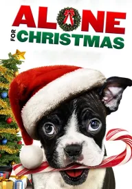 Один на Різдво постер