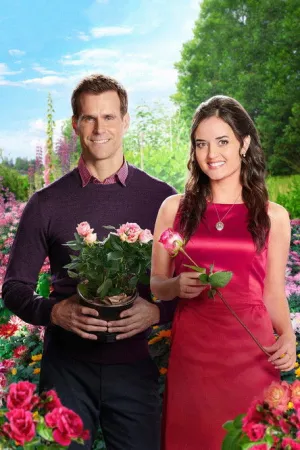 Таємничий День Святого Валентина постер