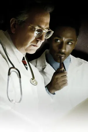 Творіння Господнє / Божествене творіння постер