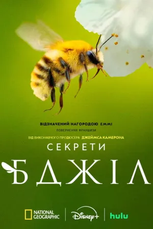 Секрети бджіл постер
