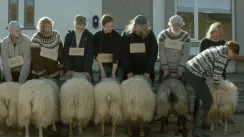 кадр з фільму Барани