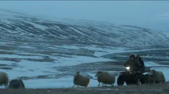 кадр з фільму Барани