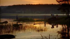 кадр з фільму Діти шумного села / Усі ми - діти з Гамірного