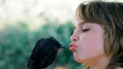 кадр з фільму Галченя