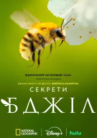 Секрети бджіл постер