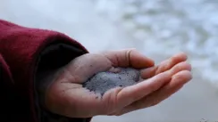 кадр з фільму Хронологія води
